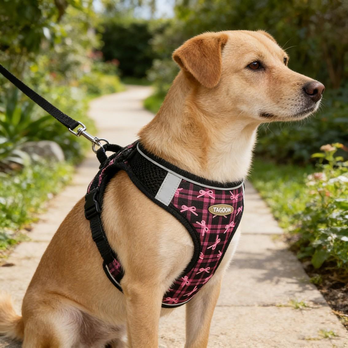 Automatic Retractable Dog Leash for Small Medium Dogs, Breathable Reflective Chest Harness, Adjustable Safety Harness, No Pull Harness, Anti-Pull Night Safety Walking Rope, Harness Leash Set