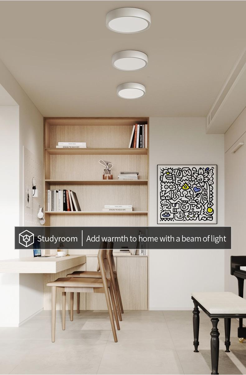 LED Small Ceiling Light, Ultra-Thin Surface Mount Cylinder Lamp, Round Pendant Light, Hallway Light, Entryway Corridor Ceiling Spotlight