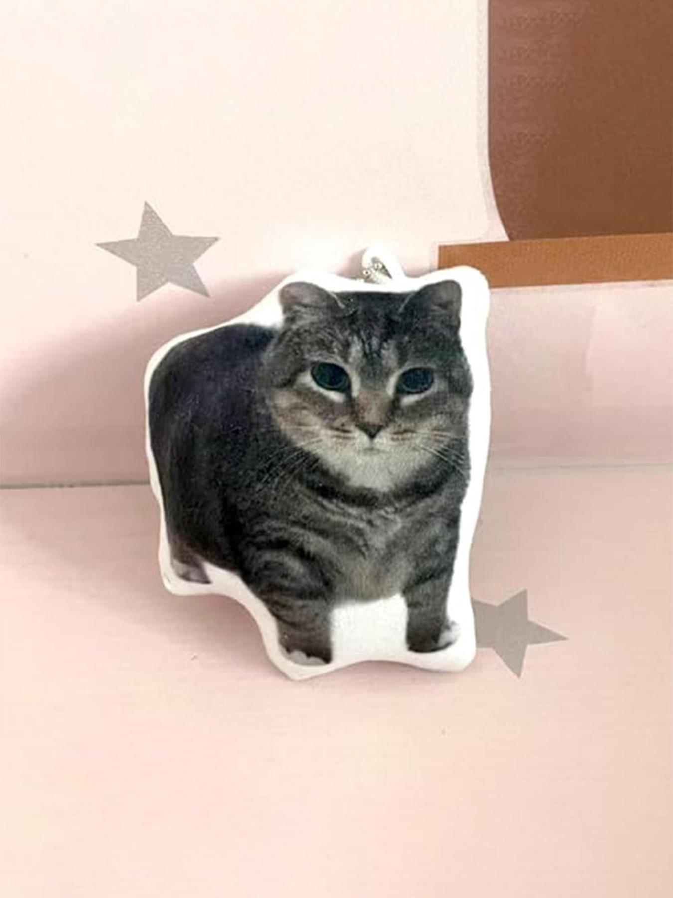 Oiiai Cat Plush Key Chain, Funny Rotating Cat Keychain with Voice, Cute Stuffed Cat Meme Pendant, Ideal for Kids and Adults