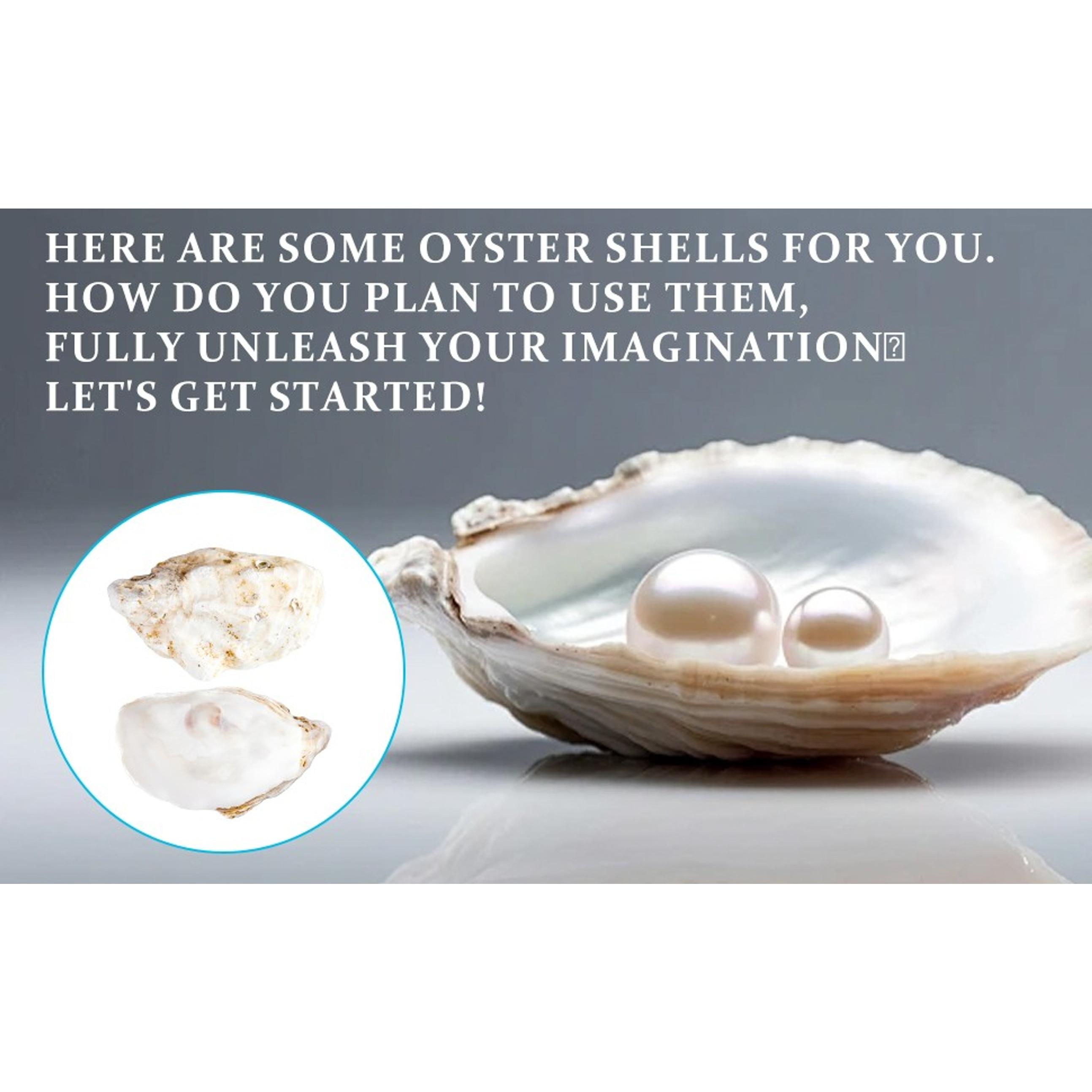10Pcs 4"-5" Large Oyster Shells for Crafts, Painting, Beach Themes, Wedding, Christmas & Home Decoration - Natural Sea Shells for Crafting