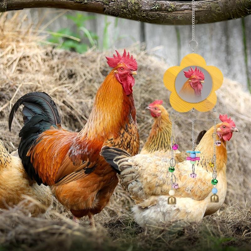 Random Color Chicken Swing & Feeder Net, Chicken Swing & Feeder Net Wood Bird Grinding Teeth Toy, Farm Animal & Poultry Supplies