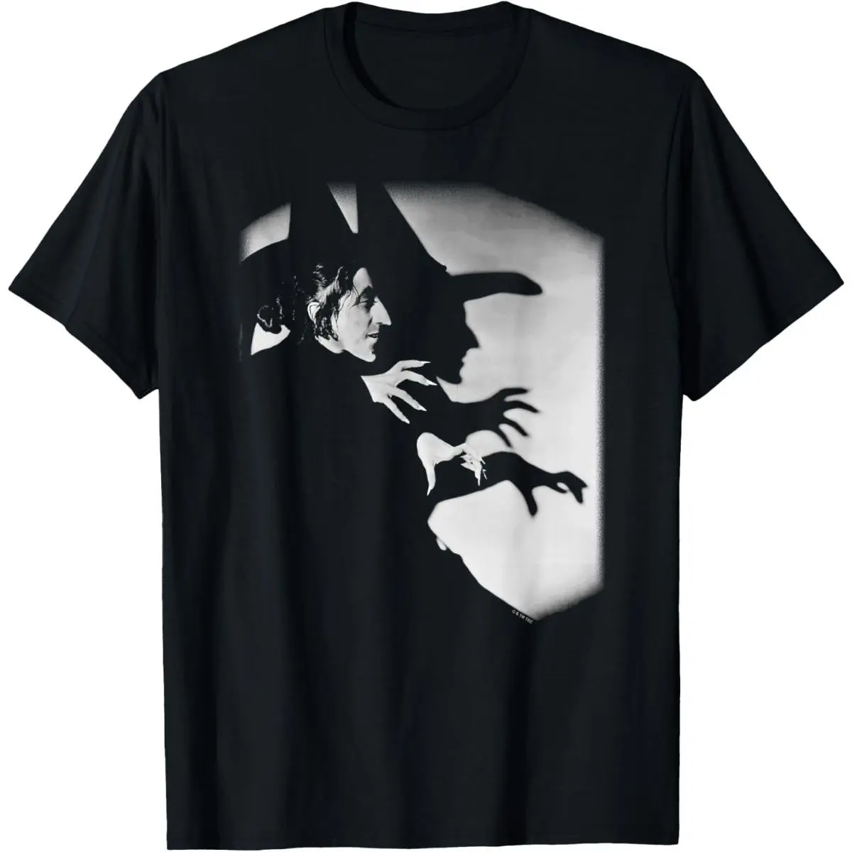 Women's Comfortable Seamless Short-Sleeve The Wizard of Oz Wicked Witch of The East Vintage Photo Top, Casual Women's Apparel
