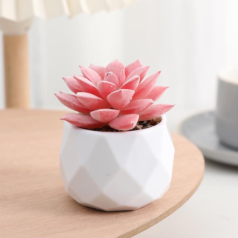 Desktop Decoration, Realistic Mini Succulent Plant, Indoor Decorative Fake Flower, Desktop Ornament, Artificial Succulent Pottery