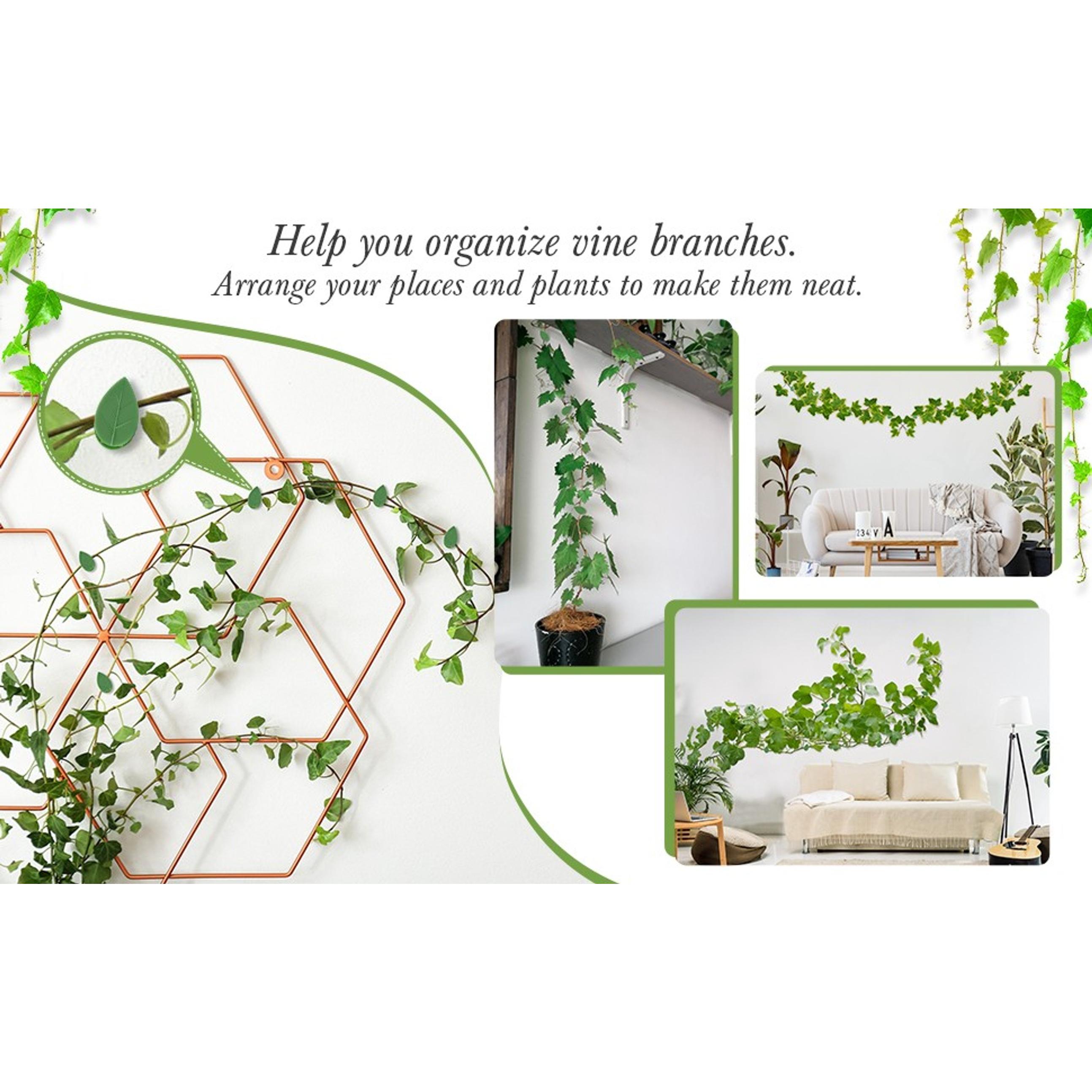 60 Pieces Plant Climbing Wall Fixture Clips with 72 Pieces Acrylic Adhesive Sticker Leaf Fixer Invisible Wall Vines Fixing Clips Hook Plant Vine Traction for Indoor Outdoor Decoration 60 Pieces Plant Climbing Wall Fixture Clips with 72 Pieces Acrylic Adhesive Sticker Leaf Fixer Invisible Wall Vines Fixing Clips Hook Plant Vine Traction for Indoor Outdoor Decoration
