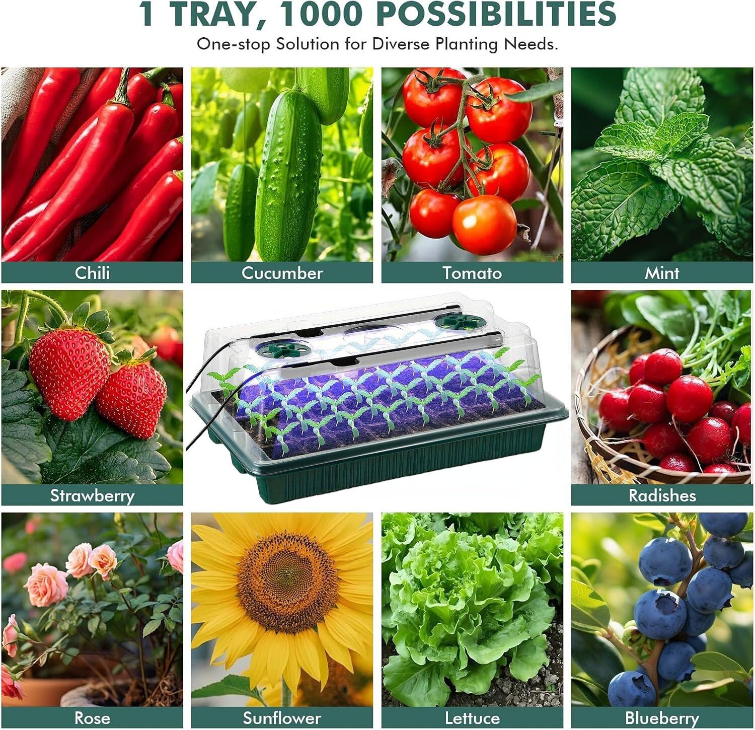160-Cell Seedling Starter Tray with Grow LED Lights, 4 Sets USB-Powered Germination Kit with Humidity Vents, Drainage Holes and Planting Tools, Garden Plant Supplies, Garden Accessories and Growing Kit, Great Gift 160-Cell Seedling Starter Tray with Grow LED Lights, 4 Sets USB-Powered Germination Kit with Humidity Vents, Drainage Holes and Planting Tools, Garden Plant Supplies, Garden Accessories and Growing Kit, Great Gift