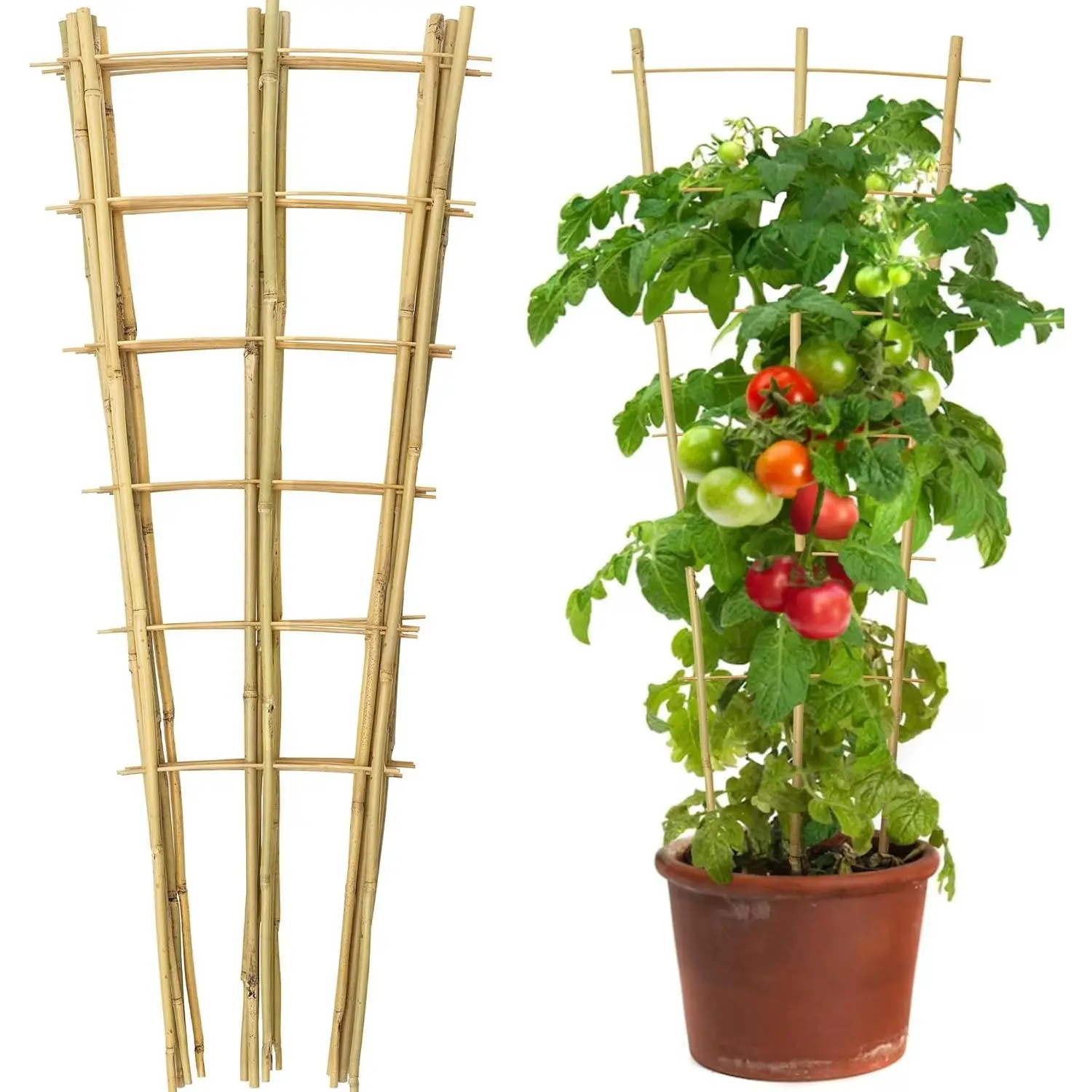 10 Pack 3 Feet Natural Bamboo Trellis, Fan-Shaped Bamboo Plant Trellis for Climbing Plants, Vegetables, Cucumber, Tomato, Outdoor and Indoor Potted Plants