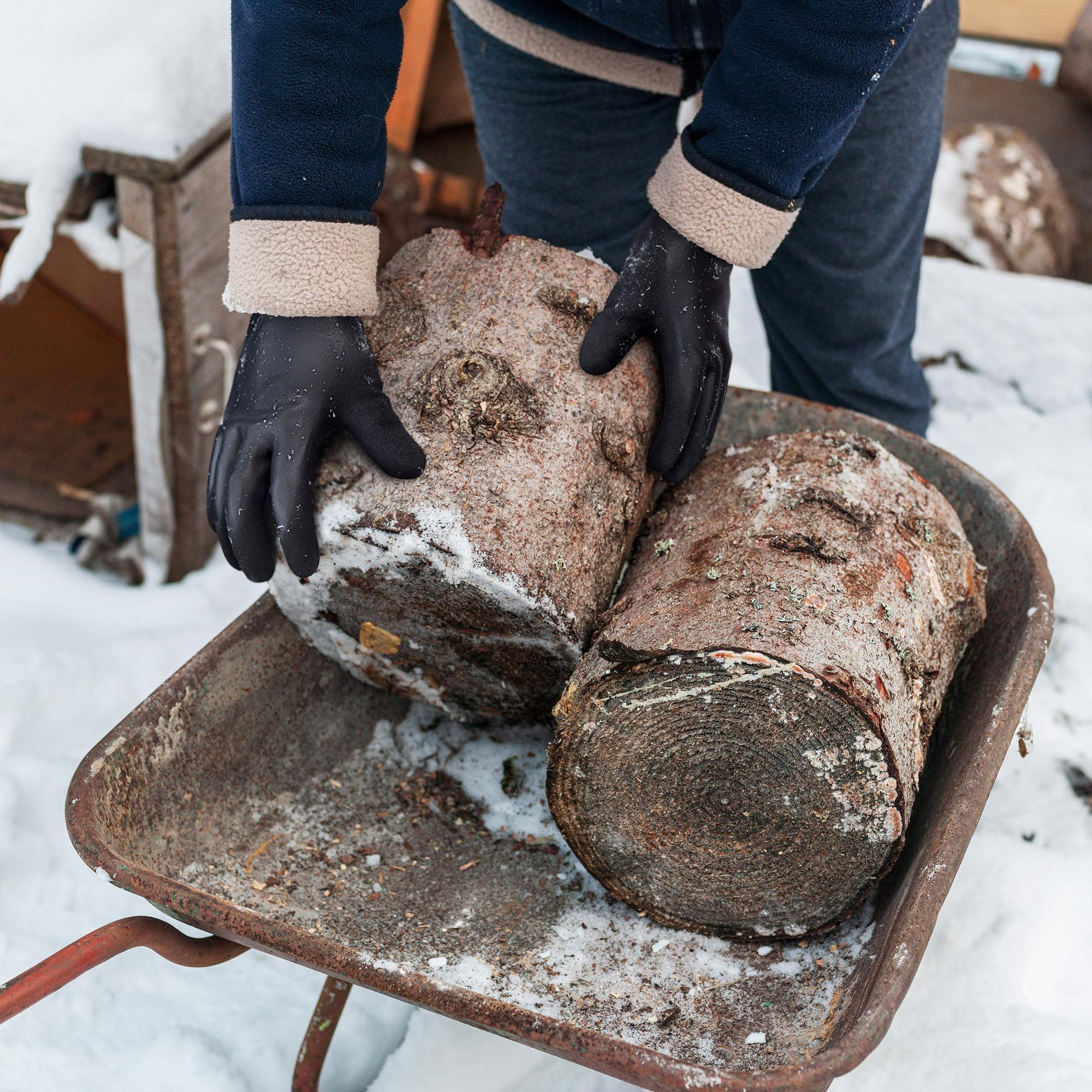 KAYGO KG145 Protector 100% Waterproof Thermal Winter Work Gloves for Men and Women Double Latex Coated Insulated Warm Liner for Construction Cold Storage Snow Shoveling Grocery Store Landscaping Warehouse Outdoor Activities and Winter Jobs KAYGO KG145 Protector 100% Waterproof Thermal Winter Work Gloves for Men and Women Double Latex Coated Insulated Warm Liner for Construction Cold Storage Snow Shoveling Grocery Store Landscaping Warehouse Outdoor Activities and Winter Jobs