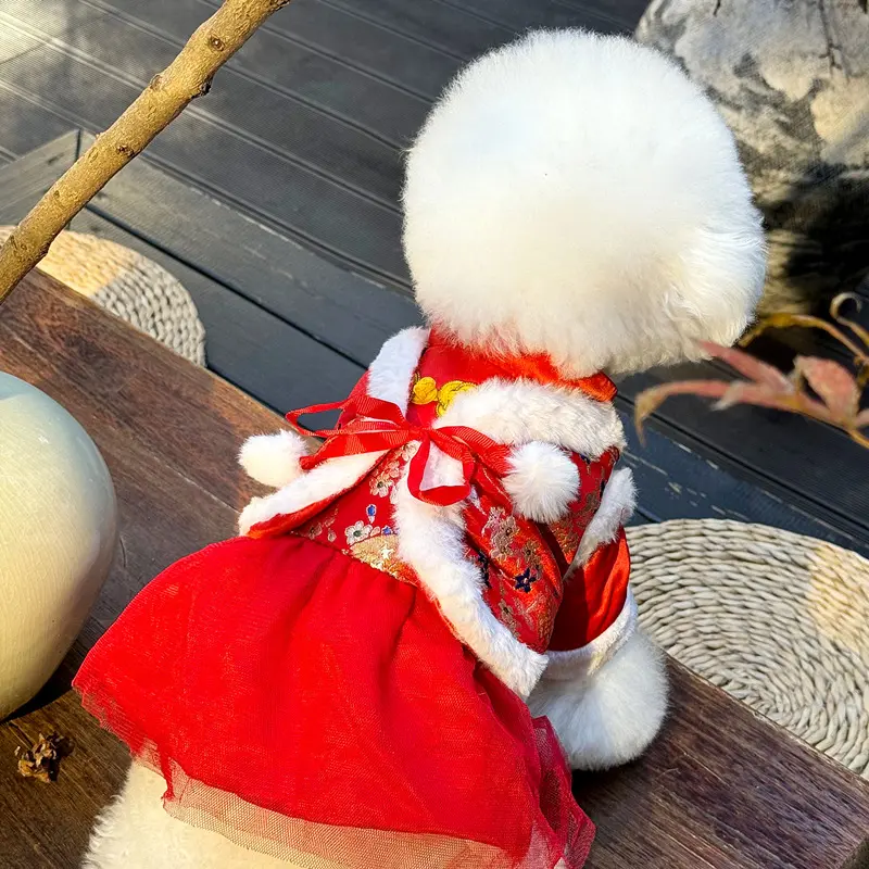 May all your wishes come true dress