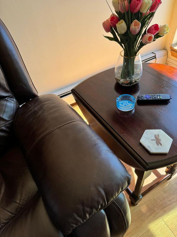 The ZynByn Lip Pillow Dumpster - The Perfect Gift for Him or Her to Clean up in Style!