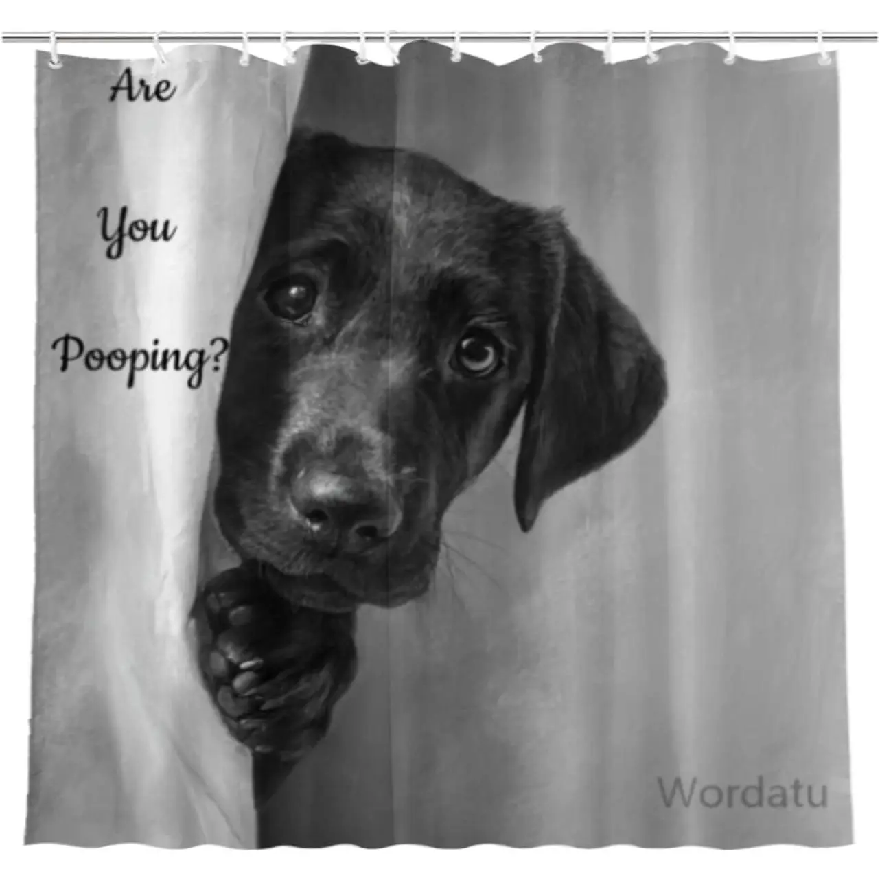 Black Labrador Funny "Are You Pooping" Art Deco Shower Curtain, 72x72 in Everyday Bath Polyester Water-Resistant Bathroom Decor with 12 Hooks