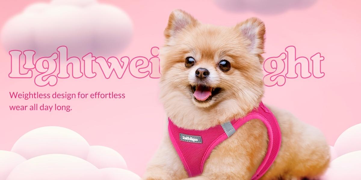 Durable Reflective Harness & Leash Combo for Small Dogs & Puppies, All-Weather Breathable Mesh Vest, Soft Lightweight Step-In Design, Battery-Free, Hand Wash Only, Reflects at Night, Collars & Harnesses & Leads, Leash Included