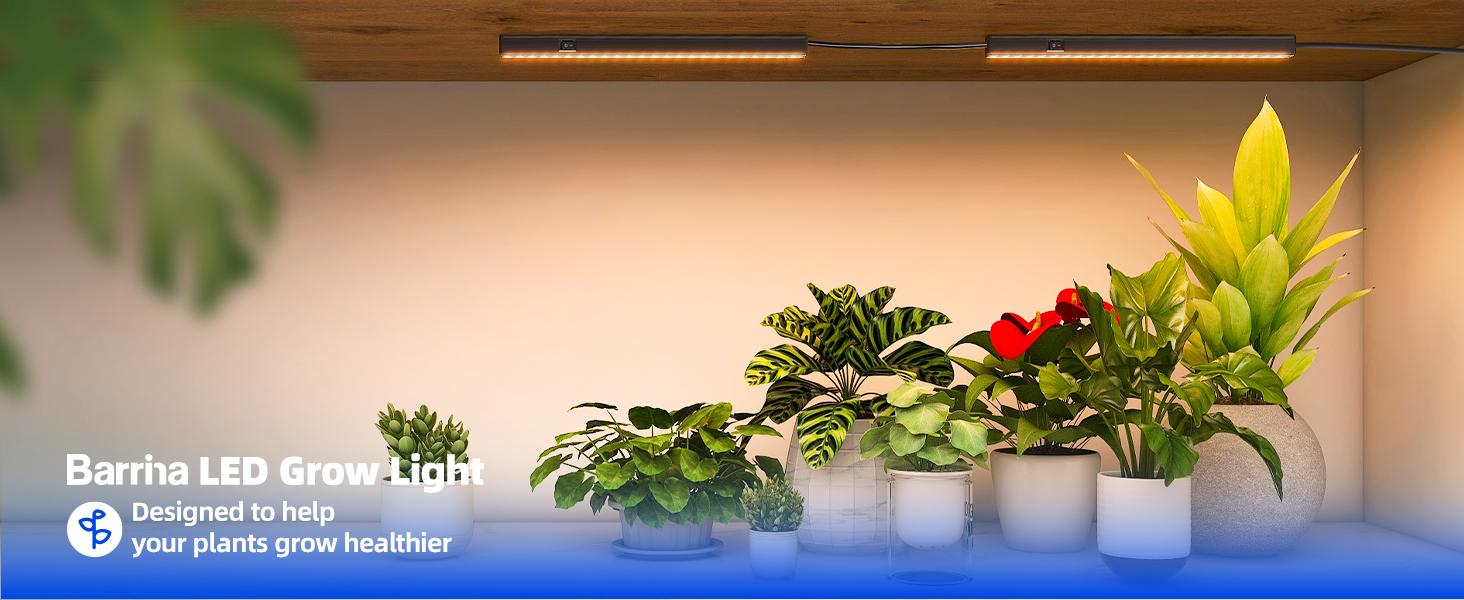 Barrina T5 Grow Lights,  Full Spectrum, 1FT, Black Cover LED PlantLight Bulbs for Indoor Plants, Greenhouse, Plug and Play, Linkable, Yellow, 8 Packs