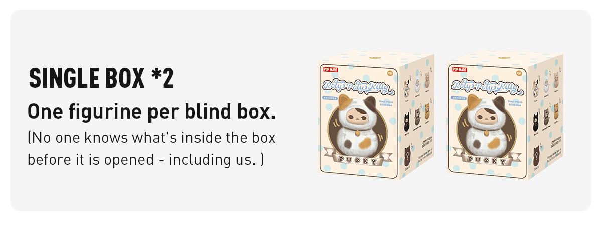 Unboxing-PUCKY Roly-Poly Kitty Series-Vinyl Plush Blind Box-3.0
