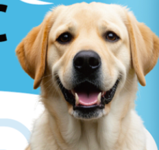 Pet Health Specialty