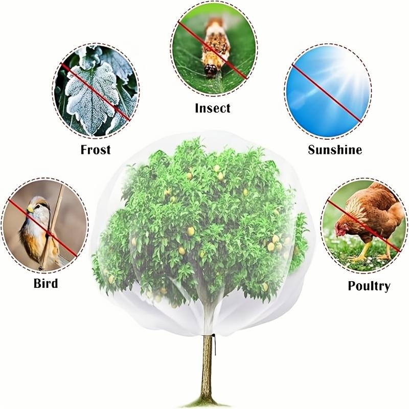 Two-Pack Fruit Tree Protection Net, Garden & Orchard Guard, Zipper Drawstring Seal, Bird Bug Deer Proof, Blueberry Apple Tree Care