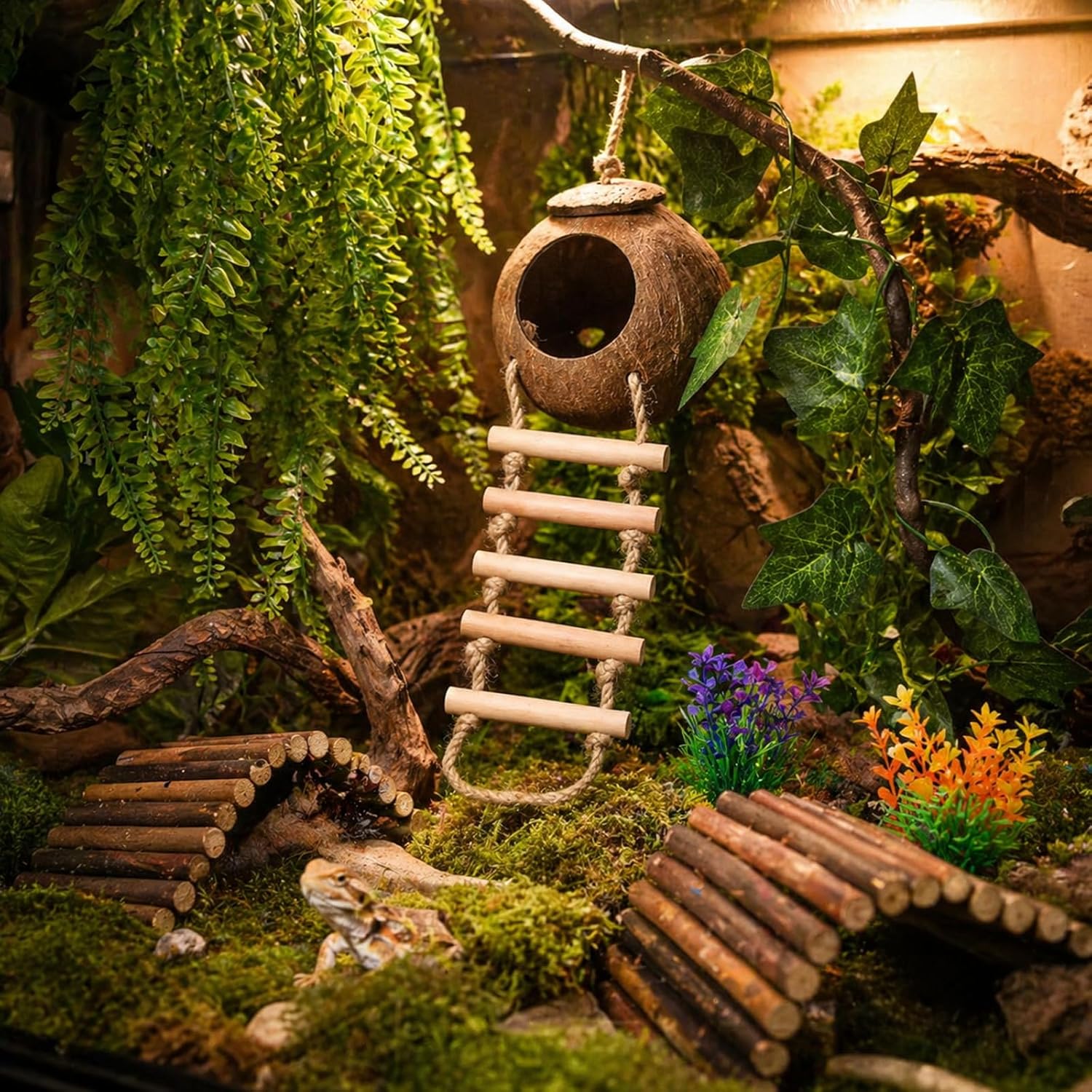 Crested Gecko Accessories, Reptile Vines with Coconut Shell Hideout & Climbing Ladder Decor for Hermit Crab Lizard Leopard Gecko Chameleon Snake Terrarium Decor Crested Gecko Accessories, Reptile Vines with Coconut Shell Hideout & Climbing Ladder Decor for Hermit Crab Lizard Leopard Gecko Chameleon Snake Terrarium Decor