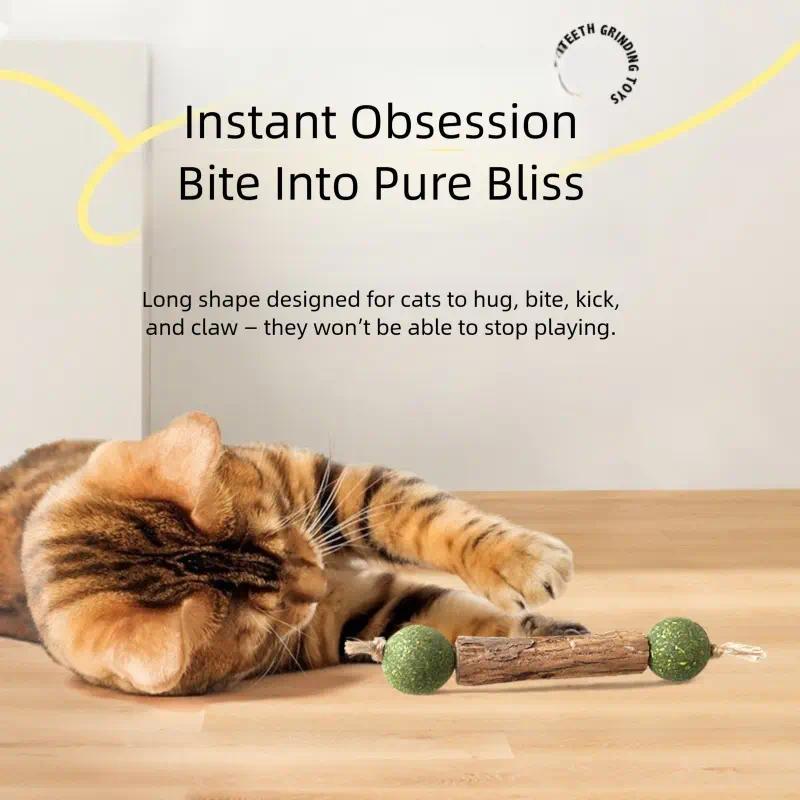 8-Pack Silvervine & Catnip Chew Sticks – Cat Dental Chew Toy, Helps Clean Teeth & Calm Cats