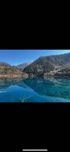 Essentia Wardrobe Essentia Wardrobe