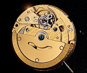 ROCOS Men's Automatic Skeleton Watch – Luxury Leather Strap, Day-Date Display, Waterproof Dress Watch | Elegant Gift | Reloj mecánico para hombre