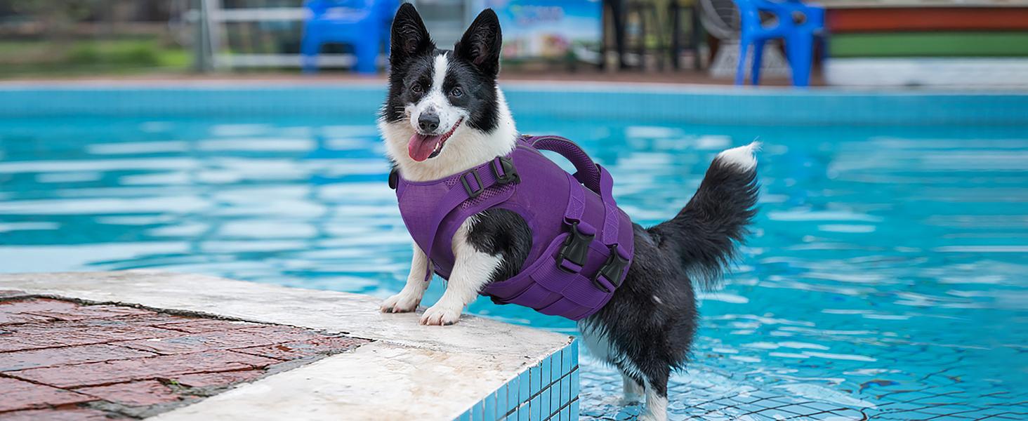 Kuoser Dog Life Jacket High Buoyancy, Reflective Dog Life Vest for Swimming Boating, Adjustable Small Medium Large Dog lifejacket, Lightweight Dog Life Preserver Rescue Handle Spring Summer Pool