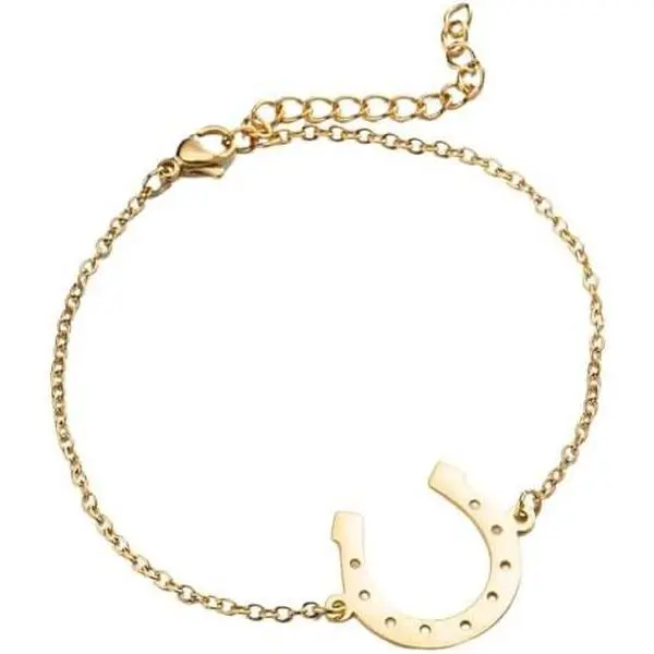 Lucky Horseshoe Link Chain Bracelet for Women Men Stainless Steel  Luck Simple Geometric U Shaped  Bangle Adjustable Graduation Fashion  for  Horse Lovers Sister