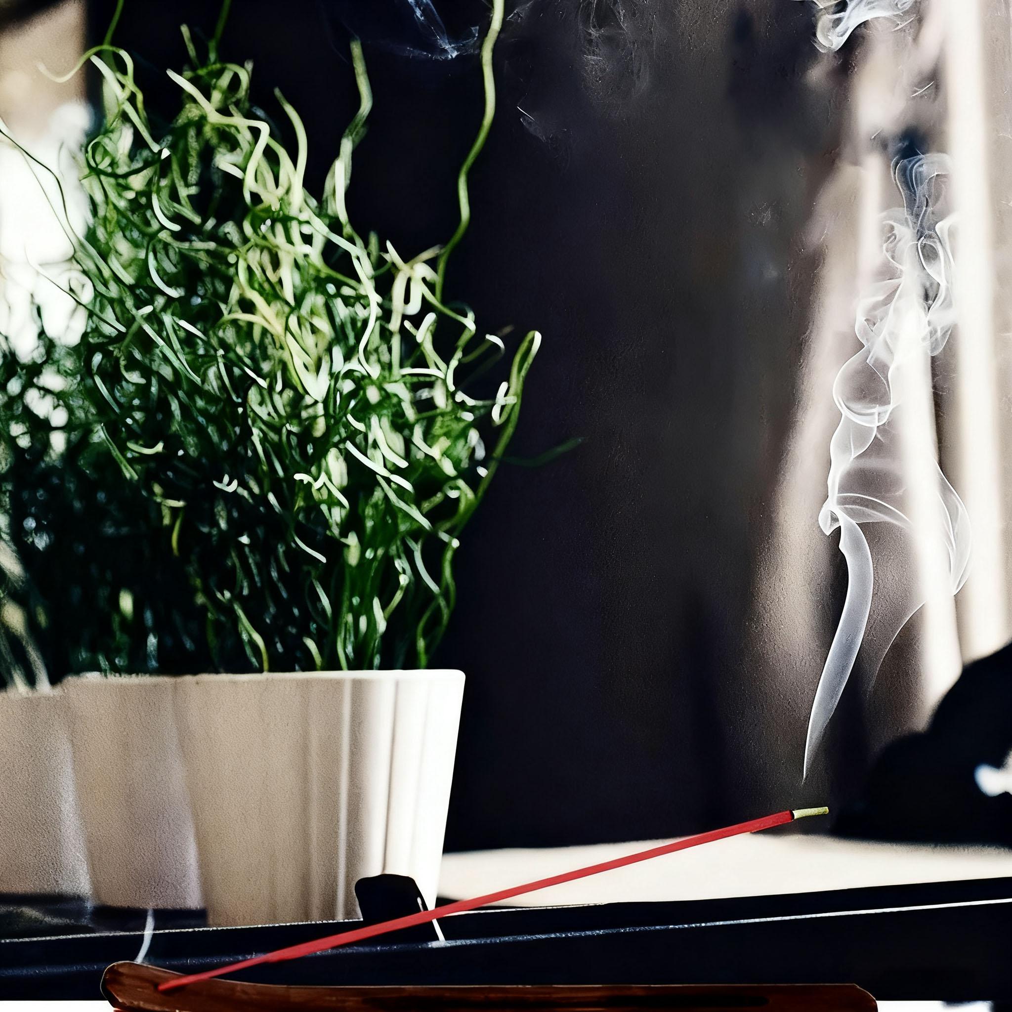 50/100/200 Day & Night Incense Sticks Set, Mixed Scented Stick, 22cm, Sakura & Dragon Blood, Home Tea Room Spa, Romantic Experience