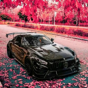 Xingcan Auto Parts Store