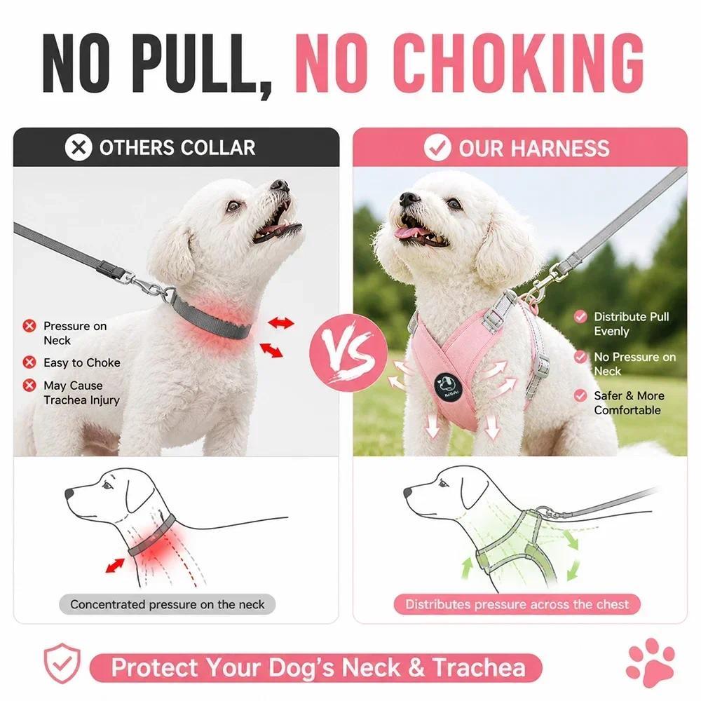 Reflective Dog Vest Harness & Leash Set - Soft, Adjustable, No-Pull Chest Strap, Reflective Strips, Breathable Fabric, Multi-Size for Small-Medium Dogs Cats Pug Daily Walking