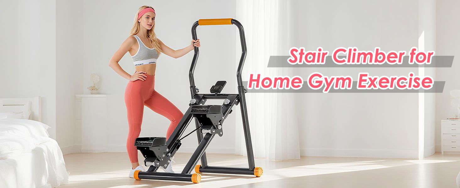 Dlandhome Stair Stepper with Handrails Multi-Speed Adjustment Phone Holder Digital Display Foldable Reinforced Steel Frame Home Gym Equipment Gift