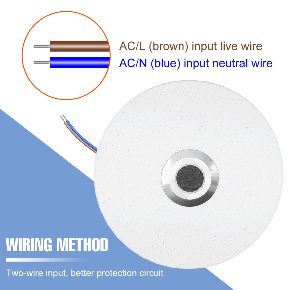 RGB LED Bluetooth Ceiling Light DSP Music Melody Player BT APP Control 256Colors Dimmable 100-240V Smart Timer Switch Memory Function Bedroom Living Room Colorful Atmospheric Night Lamp Festival Party Mlticolor Mood Rhythm Decoration Lighting with Remote