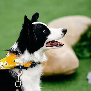 Anbeite Pet shop logo