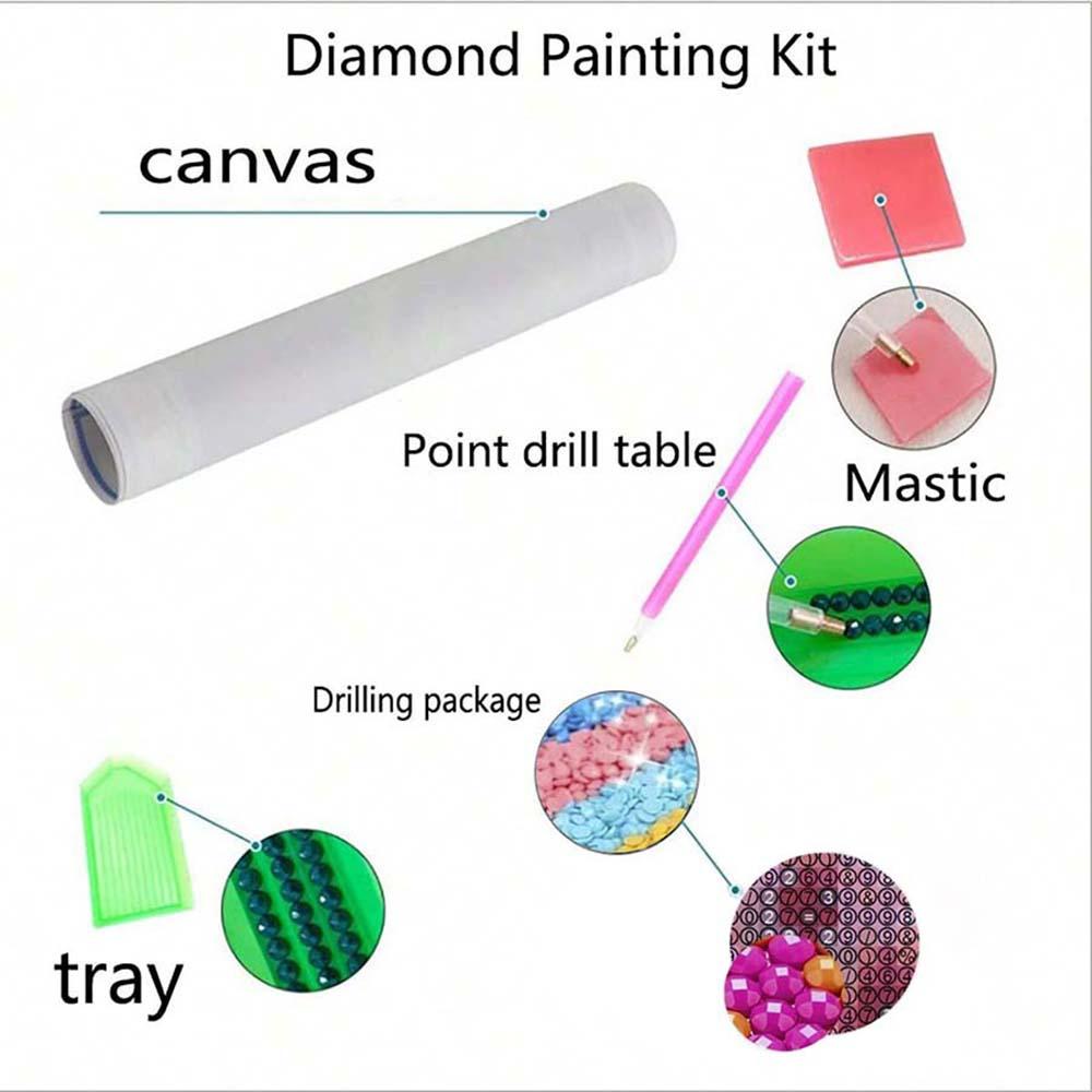 5D Diamond Painting Kit Full Round Drill Light, Dark, Rose DIY Mosaic Wall Art, Beginner Craft Kit (with Tools), Home Wall Decor Gift, Diamond Art Kit