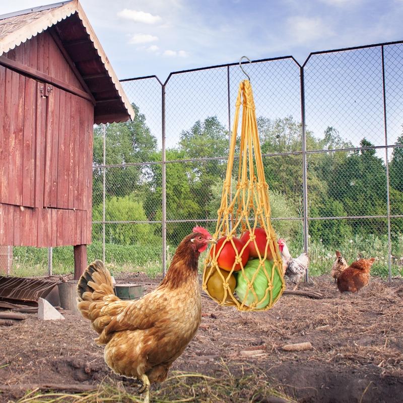 Random Color Chicken Swing & Feeder Net, Chicken Swing & Feeder Net Wood Bird Grinding Teeth Toy, Farm Animal & Poultry Supplies