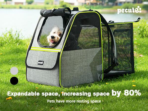 Pecute trapezoidal cat backpack, comfortable travel, well-ventilated, available in black and grey.