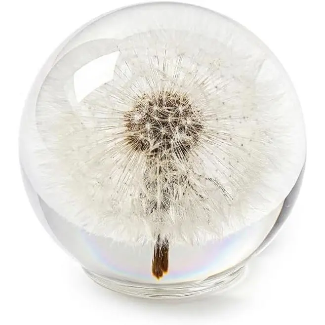 Dandelion Paperweight with Real Preserved Dandelion in Crystal, 2.6 Inch | Elegant gift with gift box and card, ideal for home or office desks and symbolizing hope, luck, wishes, and new beginnings