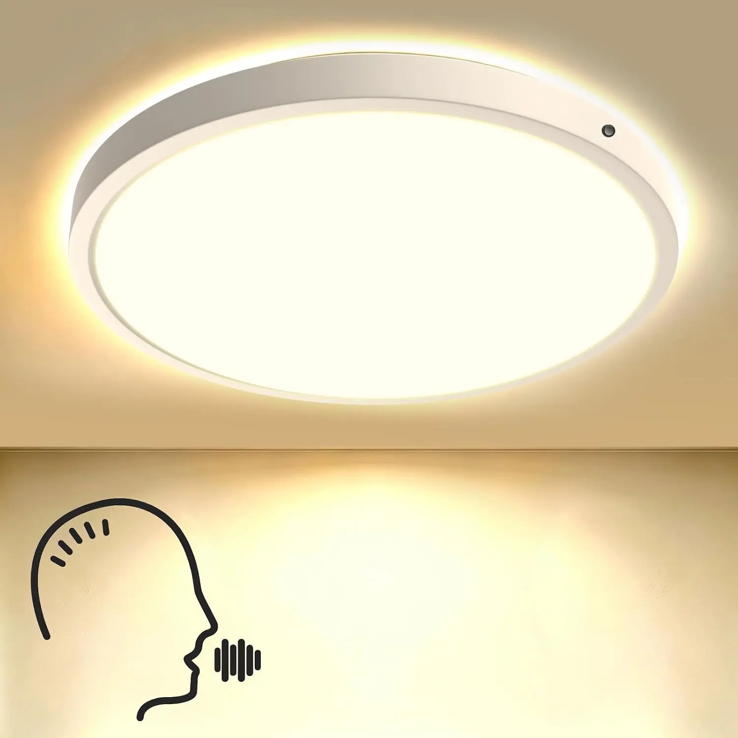 12 Inch Flush Mount Smart Ceiling Light with Voice Control, 25W, 3CCT