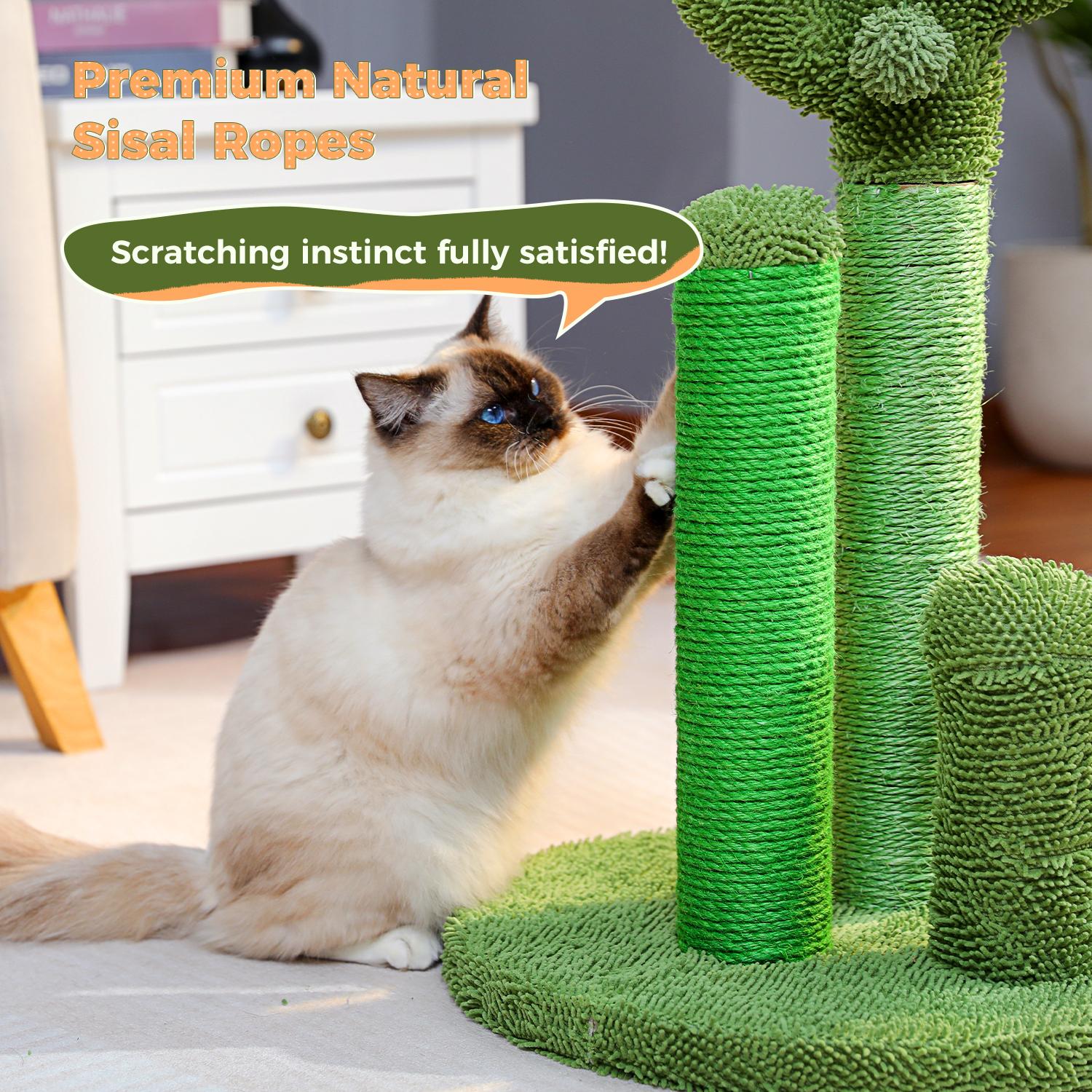 Cute Cactus Shaped Cat Scratching Board - Green Design with Cactus-Shaped Stands, Ideal for Cats and Small Pets