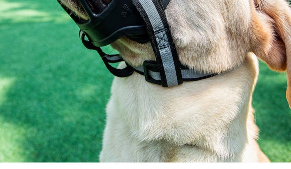 2026 Dog Muzzle to Prevent Eating and Barking, Anti-Barking Device for Small, Medium, and Large Dogs, Pet Anti-Barking Mouth Cover