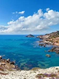 background preload poster image 