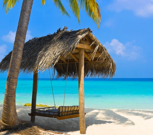 Interesting slippers