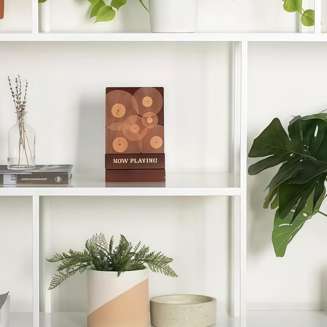 Wooden Vinyl Record Stand, Removable Solid Wood Multi-Functional CD Storage Rack, Tilted Design for Vinyl Records and Cds