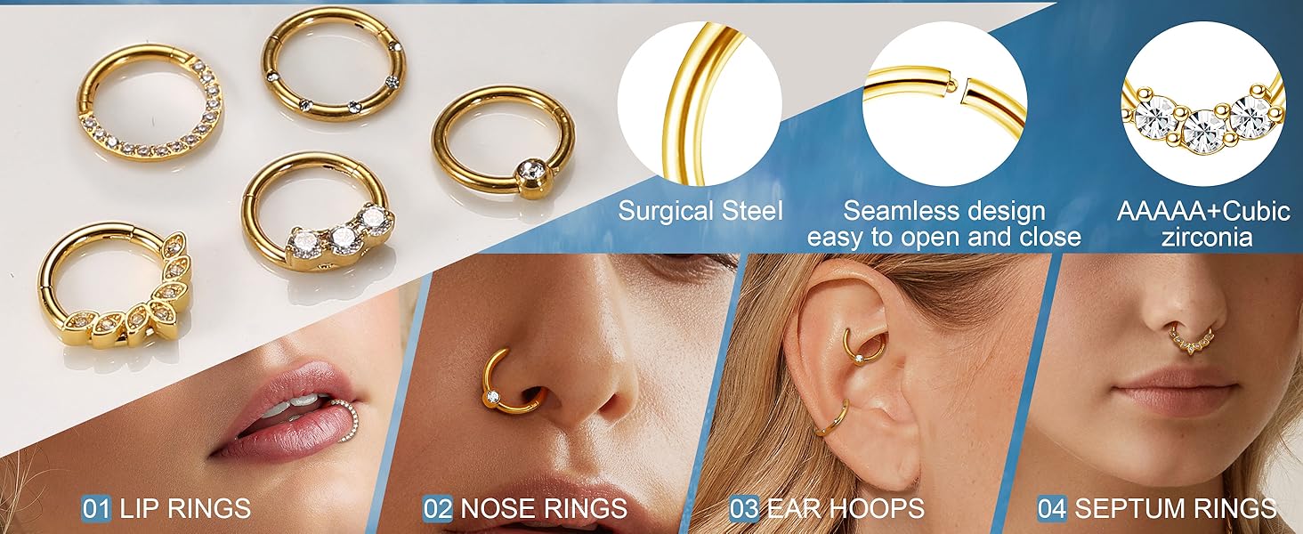 5 PCS 16G Nose Rings Hoops, Steel Earrings Tragus Septum Piercing CZ Clicker Septum Ring Hinged Segment Septum Conch Lip Helix Cartilage Hoops 8mm for Women Men