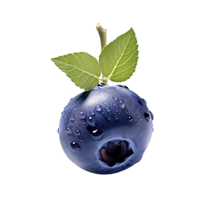 Hachi Blueberry