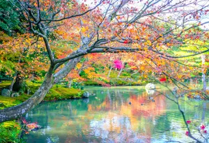 background preload poster image 