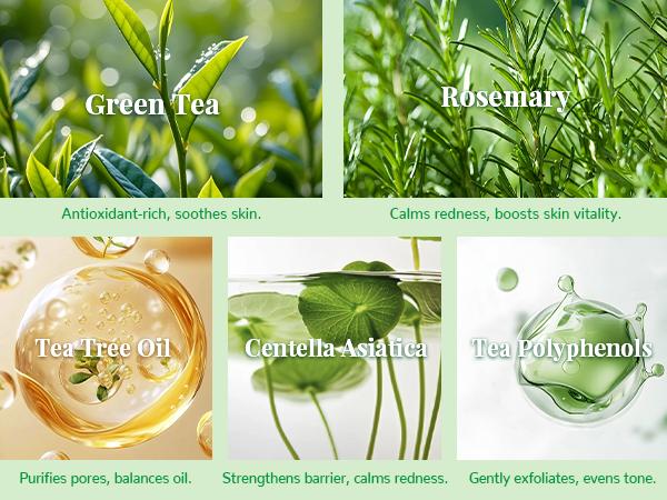 ANAiRUi Green Tea Rosemary Cleansing Pads with Tea Tree Oil, Face Scrub Pads with Bubbles, Exfoliating Make up Remover Deep Cleansing Pads for Face(50pcs) ANAiRUi Green Tea Rosemary Cleansing Pads with Tea Tree Oil, Face Scrub Pads with Bubbles, Exfoliating Make up Remover Deep Cleansing Pads for Face(50pcs)