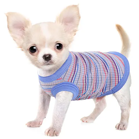Striped Pattern Pet Vest, 1 Count Cute Pet Clothes, Breathable Kitten Clothes for Small Dogs & Cats, Kitty