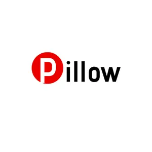 The best pillow2