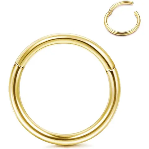 CASSIECA G23 Titanium Hinged Click Nose Ring Hoops, 20G 14G Hypoallergenic Helix Pierced Ring Jewelry for Nose, Lip Piercings Sohochic