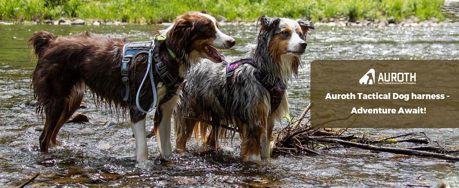 AUROTH Tactical Dog Harness for Small to Large Dogs , Durable Reflective Dog Harness, Easy to Control, Large Dogs No Pull Adjustable Pet Harness, Dog & Cat Accessories, Pet Supplies