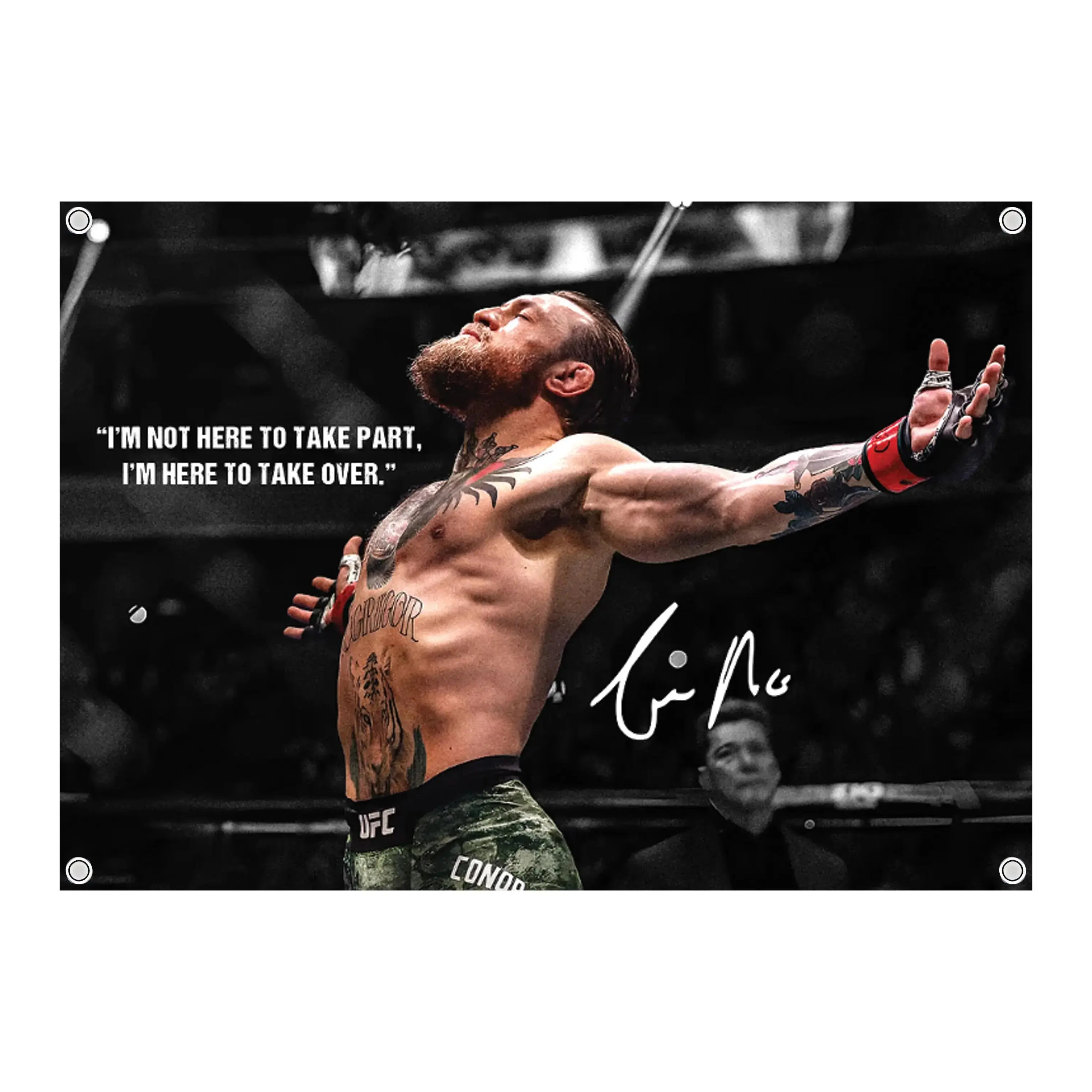 Conor McGregor Boxer Graphic tapestry - UFC MMA Wall  Banner, Vintage Fighter Room Decor, Fight Night Bedroom Decor, Gift for MMA Fans Men & Women